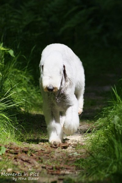 2010-05-29 Alanna und Svet (1).jpg - Arc-en-ciel Alanna 2010-05-29